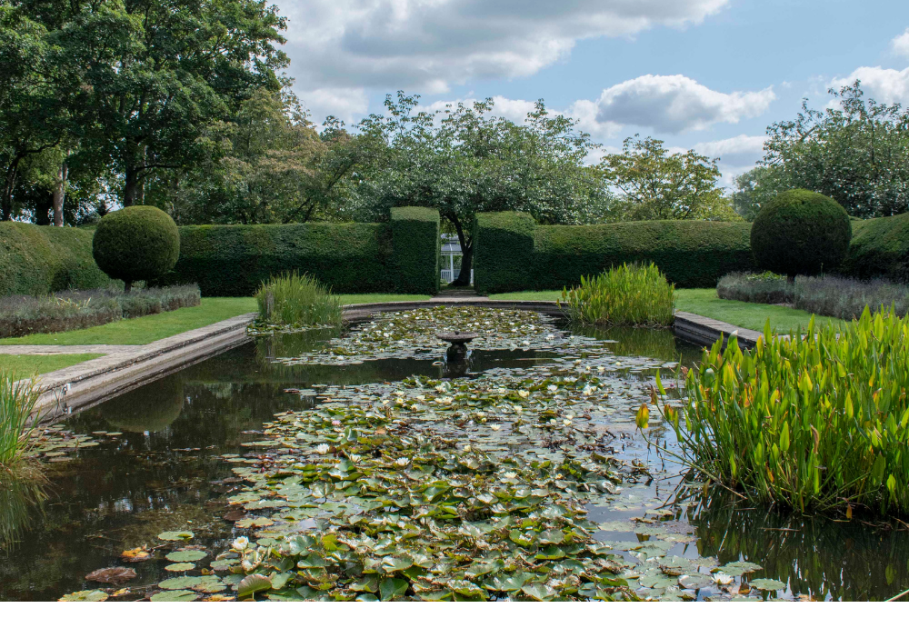 Garden in Horwood