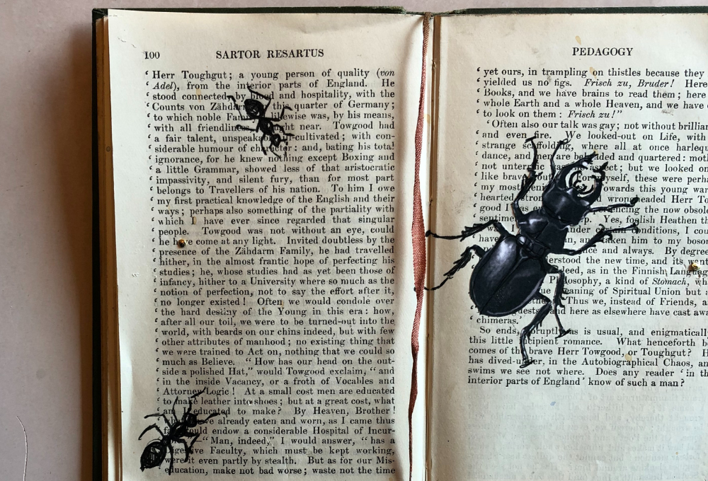 Lost and Found | Sheffield | book art close up | Beetle art
